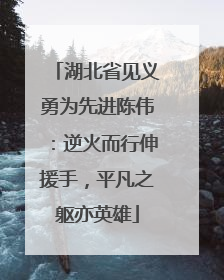 湖北省见义勇为先进陈伟：逆火而行伸援手，平凡之躯亦英雄